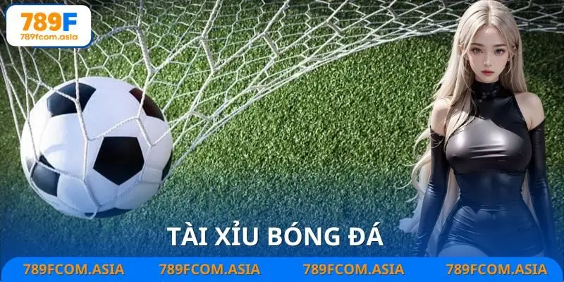 Tài Xỉu Bóng Đá